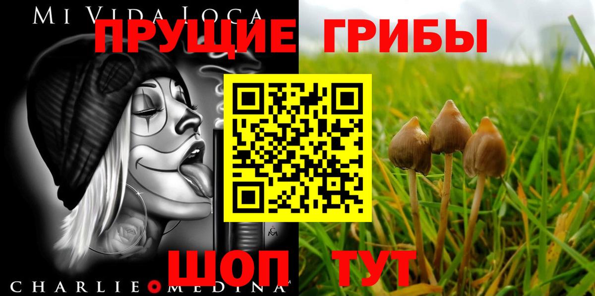 Галлюциногенные грибы Psilocybe Лабытнанги